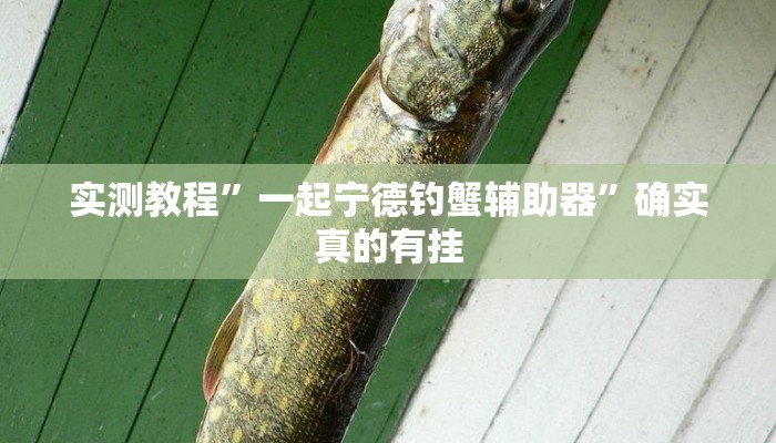 实测教程”乐清十三张有挂吗”(原来确实是有挂)