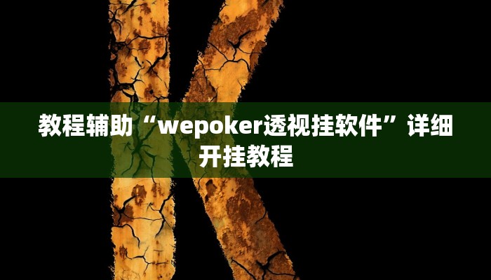 教程辅助“wepoker透视挂软件”详细开挂教程