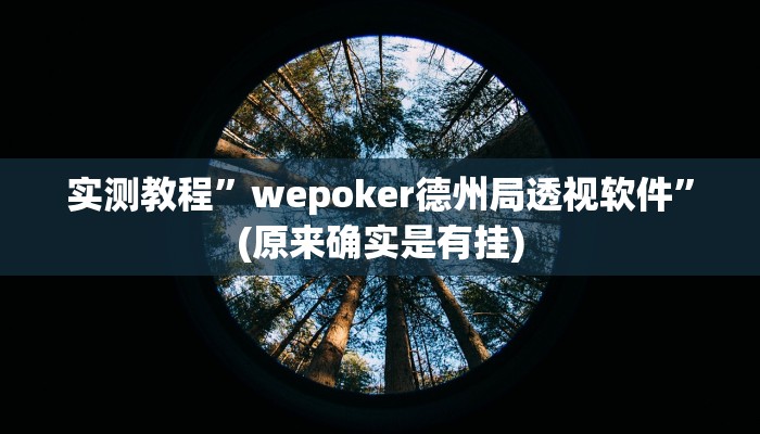 实测教程”wepoker德州局透视软件”(原来确实是有挂)