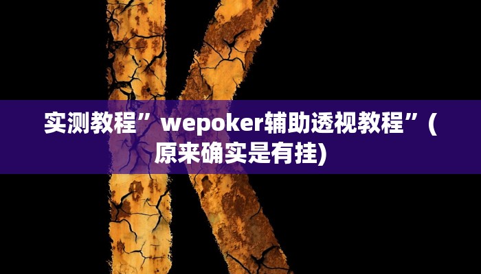 实测教程”wepoker辅助透视教程”(原来确实是有挂)
