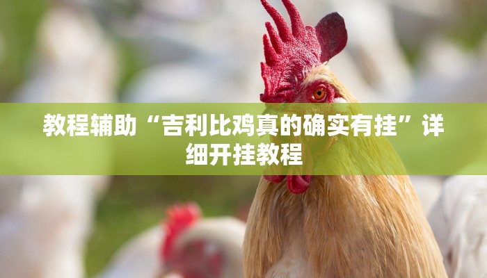 实测教程”北京麻将挂先试用再付款”(原来确实是有挂)