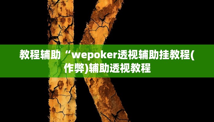 实测教程”wpk德州辅助”(原来确实是有挂)