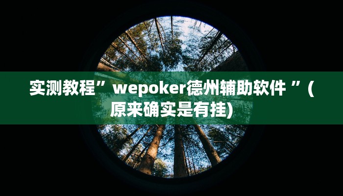 推荐一款“衢州都莱开挂辅助软件”其实确实有挂 