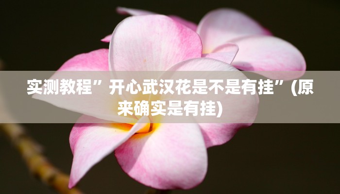 实测教程”广西八一字牌可以开挂吗”(原来确实是有挂)