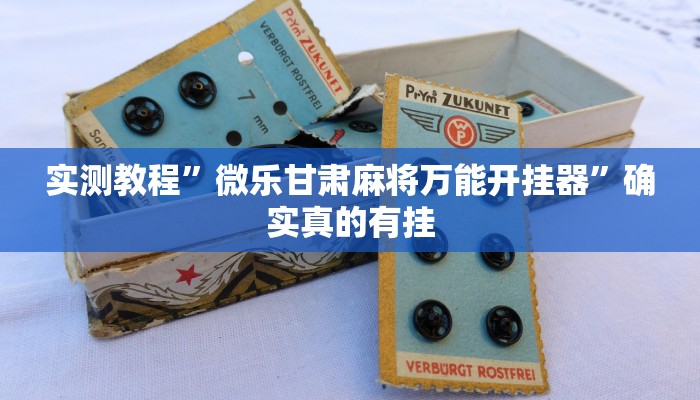 实测教程”博雅地方棋牌挂怎么安装”(原来确实是有挂)