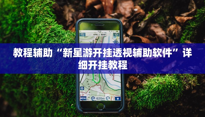 实测教程”wepoker透视辅助挂方法”(原来确实是有挂)