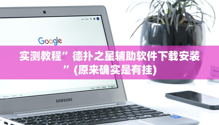 实测教程”胜奕填大坑透视软件”(原来确实是有挂)