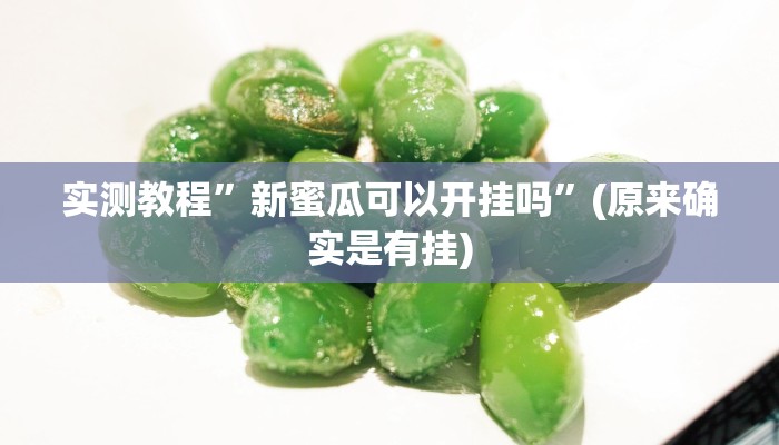 实测教程”新蜜瓜可以开挂吗”(原来确实是有挂)