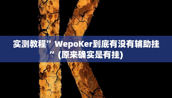 辅助神器“中至吉安麻将可以开挂吗”(详细开挂教程)