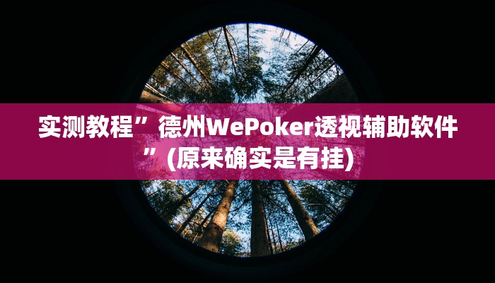 实测教程”德州WePoker透视辅助软件”(原来确实是有挂)