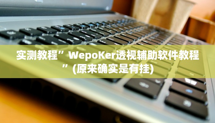 辅助神器“北方家乡游戏辅助器版”其实确实有挂 