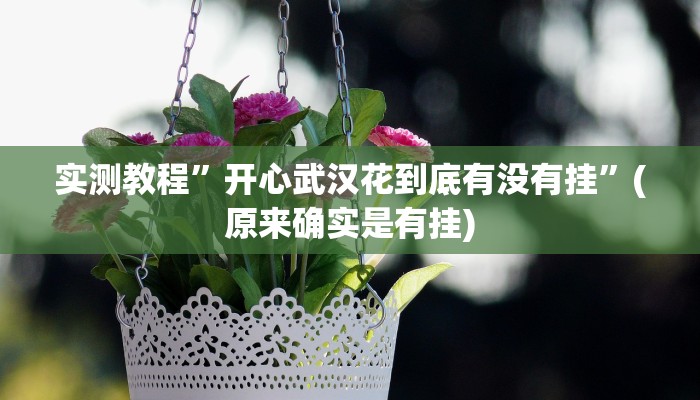 实测教程”新版WepOKer透视挂使用教程”(原来确实是有挂)