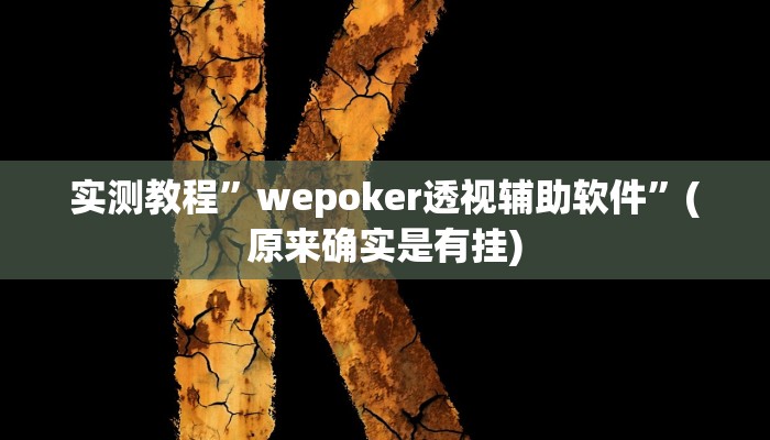 实测教程”WePoker私人局透视挂作弊辅助方法”(原来确实是有挂)