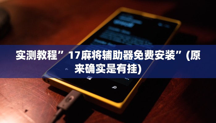 实测教程”17麻将辅助器免费安装”(原来确实是有挂)