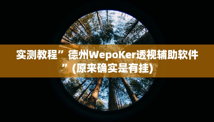 实测教程”欢乐龙城开挂怎么买”(原来确实是有挂)