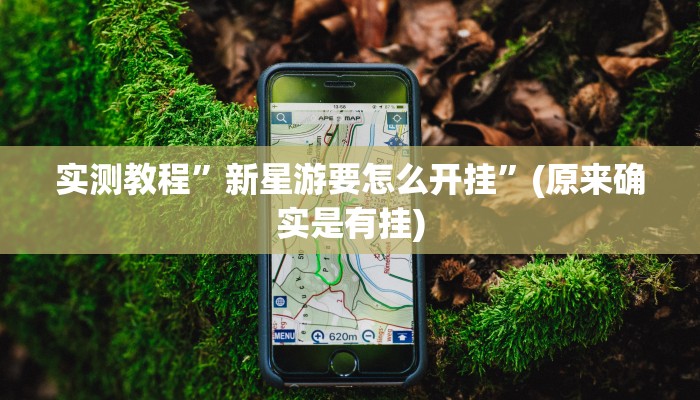 实测教程”新星游要怎么开挂”(原来确实是有挂)