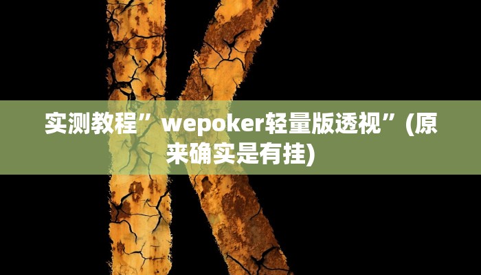 实测教程”AApoker真的有挂吗”(原来确实是有挂)