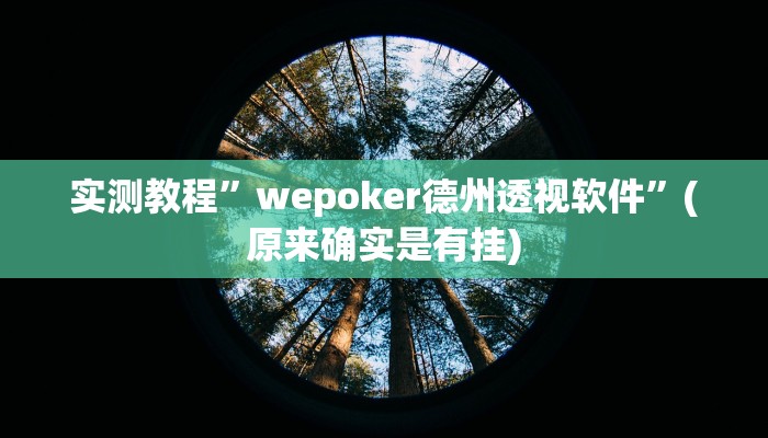 教程辅助“微乐贵州麻将开挂神器”(详细开挂教程)