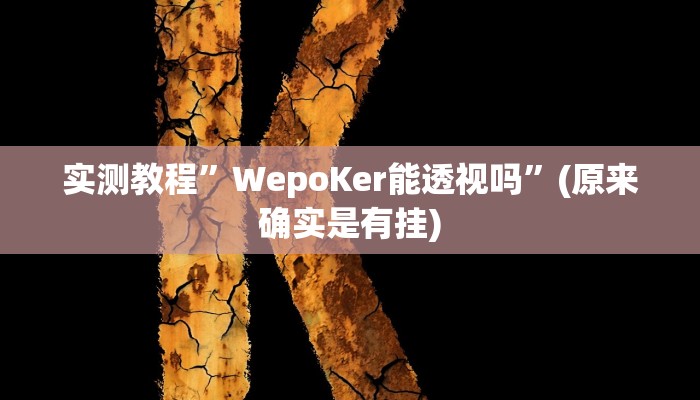 实测教程”郸城打枪游戏开挂辅助”(原来确实是有挂)