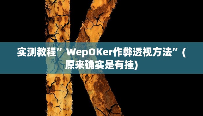 实测教程”德扑之星私人局透视挂作弊详细”(原来确实是有挂)