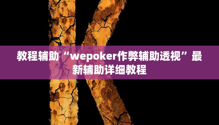 实测教程”胜奕填大坑透视软件”(原来确实是有挂)
