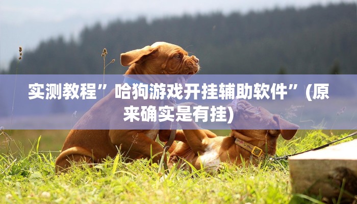 推荐一款“决胜奕福麻将到底有没有挂”(详细开挂教程)