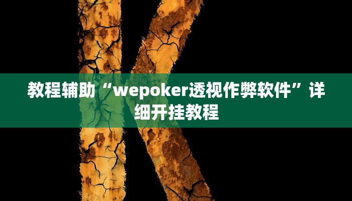 教程辅助“wepoker透视作弊软件”详细开挂教程