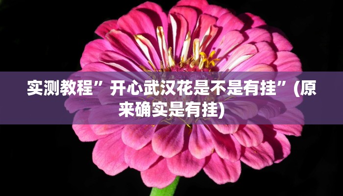 辅助神器“边锋干瞪眼开挂神器下载”(详细开挂教程)