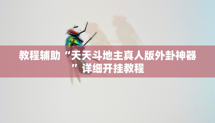 辅助神器“天天黄石麻将可以开挂吗”其实确实有挂 