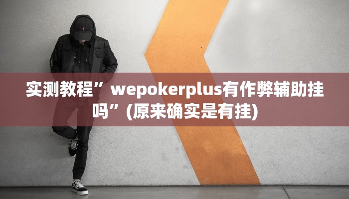 教程辅助“微乐填大坑开挂辅助器”其实确实有挂 