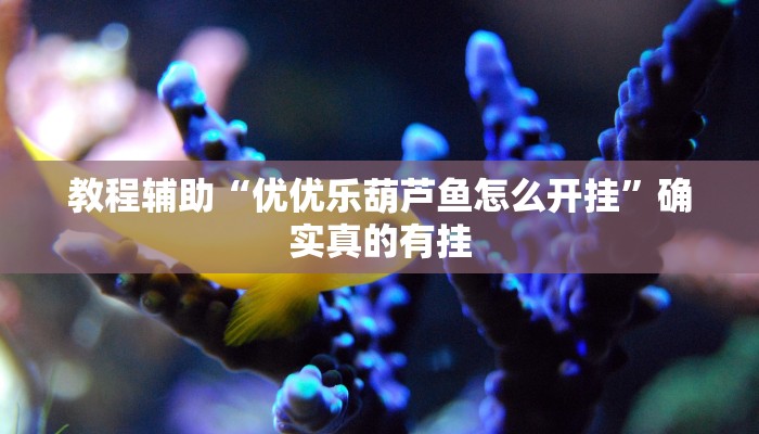 实测教程”皮皮湖北麻将开挂怎么使用的”(原来确实是有挂)
