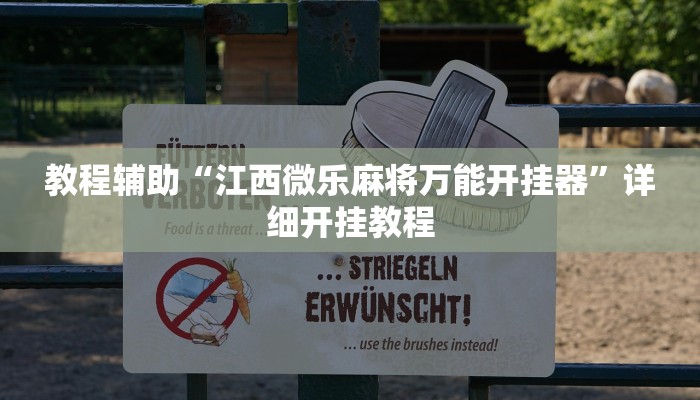 实测教程”皮皮跑胡子开挂辅助神奇”(原来确实是有挂)