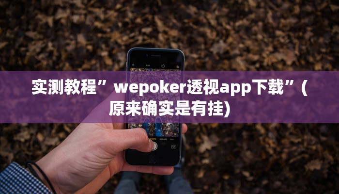实测教程”德扑圈透视插件”(原来确实是有挂)