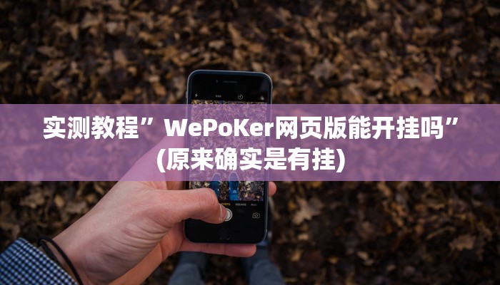 实测教程”新道游拼十怎么开挂”(原来确实是有挂)