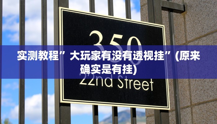 辅助神器“超级三加一开挂辅助透视软件”其实确实有挂 