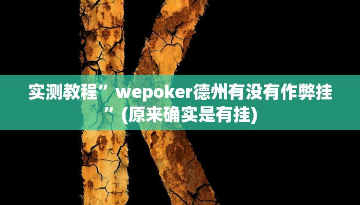 实测教程”WePoker私人局用挂开挂软件”(原来确实是有挂)