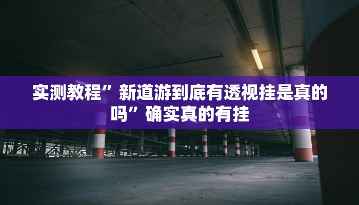 实测教程”wepokerplus辅助”(原来确实是有挂)