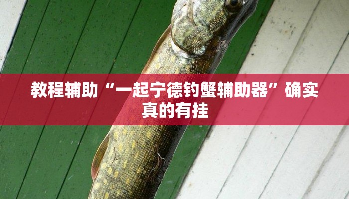 实测教程”摇钱树拼十用挂开挂软件”(原来确实是有挂)