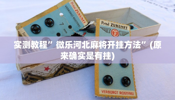 实测教程”掌酷十三张开挂神器”(原来确实是有挂)