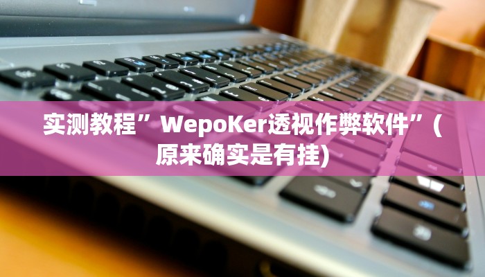 实测教程”wepokerplus德州作弊辅助挂方法”(原来确实是有挂)