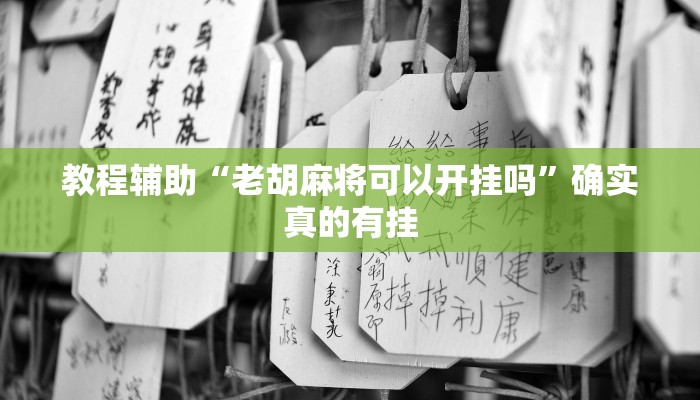 实测教程”微信财神十三张用挂开挂软件”(原来确实是有挂)
