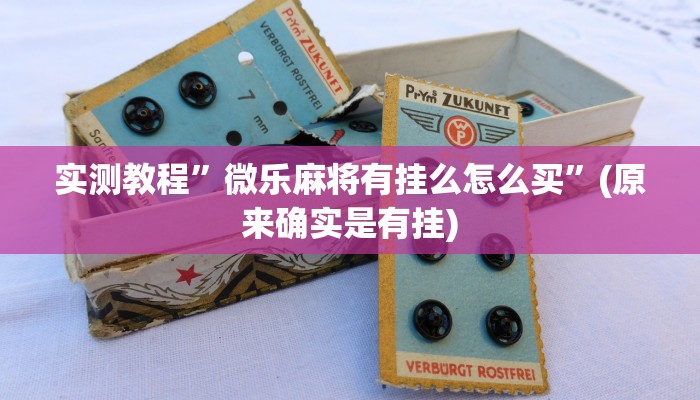 实测教程”wepoker怎么作弊”(原来确实是有挂)