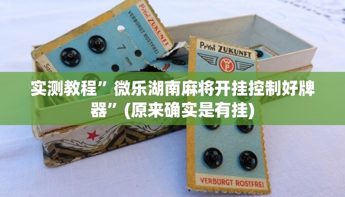 实测教程”享博棋牌开挂控制好牌器”(原来确实是有挂)