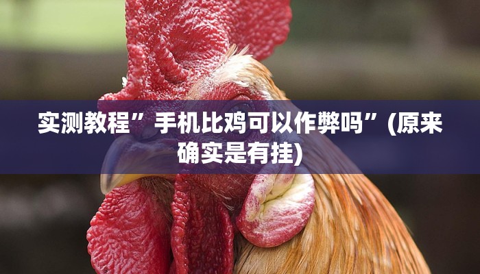 实测教程”wePOker轻量版透视挂方法”(原来确实是有挂)