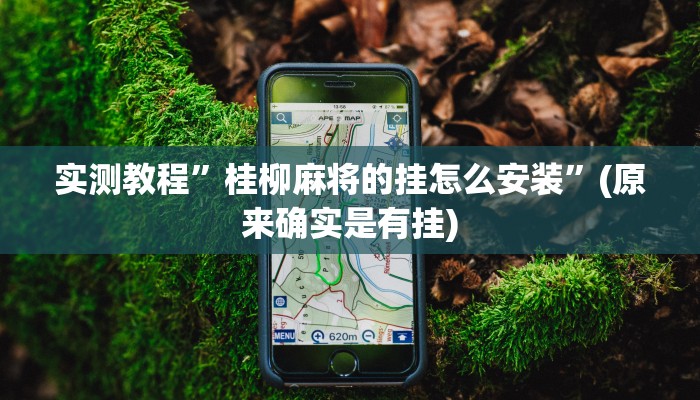 辅助神器“洋洋挖花开挂神器”(详细开挂教程)