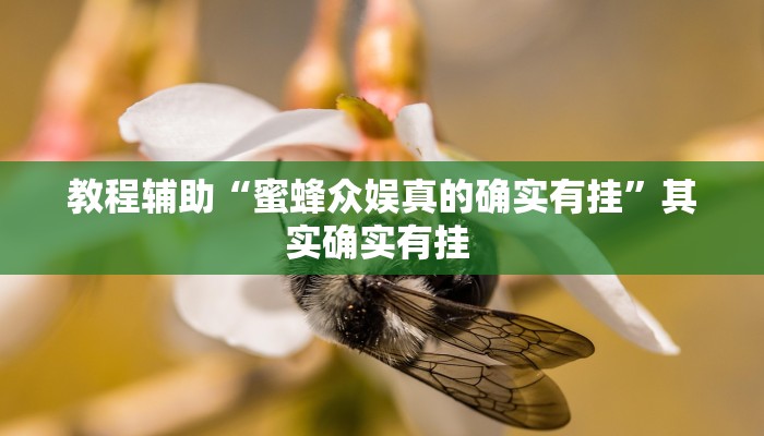 辅助神器“小猪对对碰可以开挂吗”其实确实有挂 
