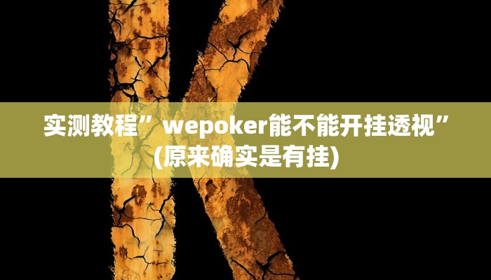 教程辅助“掌酷十三张辅助”(详细开挂教程)