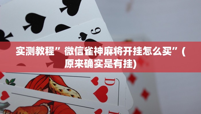 辅助神器“椰岛常胜游戏辅助器”(详细开挂教程)