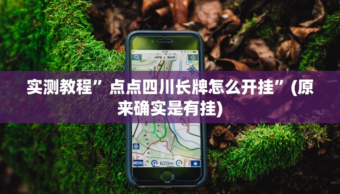 实测教程”财神十三张挂怎么安装”(原来确实是有挂)