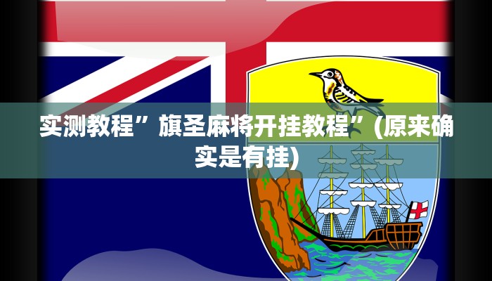 辅助神器“广西十三水万能辅助器”其实确实有挂 